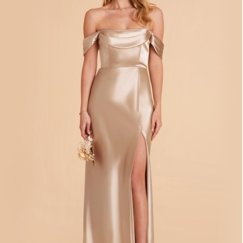 Birdy Grey Mia Neutral Champagne Dress